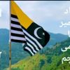 neelam1122330