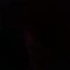 arull_385