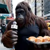 Bigfoot interview