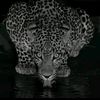 ilyas__alg