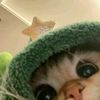 stawberry_0ka