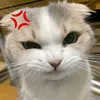 namlun_k11
