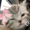 tocahgfuhfg