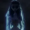 nelufar.8