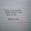 laily.z29