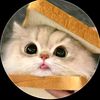 botak_duyungslay