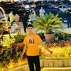 aboud.alhayah