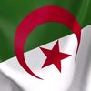faycal_algerois3