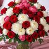 user9231154733786