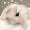 emmas.draw3