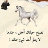 user785867113227