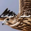 bashar7306