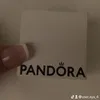 userr.aya_4