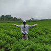 ahmed.telusaa