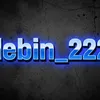 debin_222