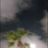 salma.islam3596