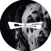 The Canine Studio