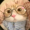 bonnie_chuche