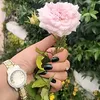 flower_star125