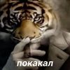 kepkchook_