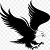 black_eagle_10