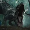 dibu.suarez