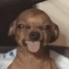 greggywilloimforeva