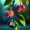 m.zain65