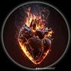 user80037065639464
