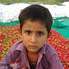 saddar.baloch45