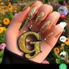 user6179005202212