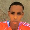 mujihid.ali8