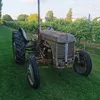 farmerferguson1951