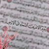 noura.nesim