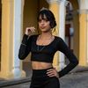 vane061205