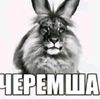 cheremsha_54