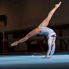 gimnasta4804