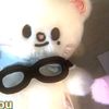 molly.lpx