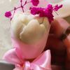 faizafifi25
