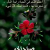 user31557880390147