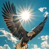 eagleprince42