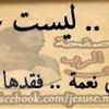 user8533082032817