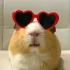 biellytiny0