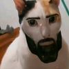 paulozrx
