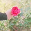 na_iiiq8
