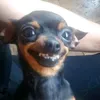eduhzlt