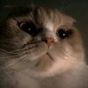 user132092612