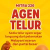 agentelur226