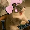 soymia205