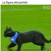 edgar.bombillo